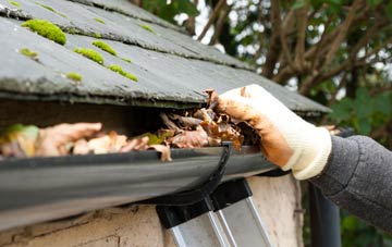 gutter cleaning Ryall