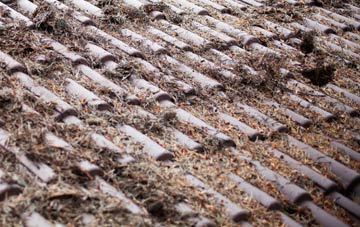 Ryall roof cleaning companies