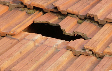 roof repair Ryall