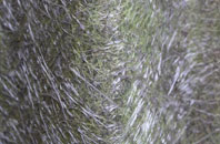 Ryall fibreglass roof work